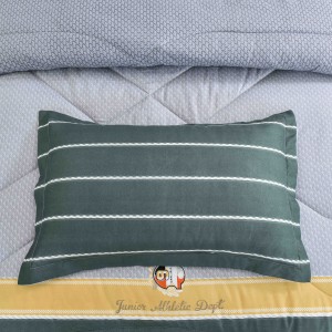 OEM/ODM Quilted Pillowcase Green Polyester Bed Sheets High Quality Brushed Comforter Set