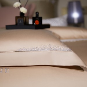 Premium home textile 100s long-staple cotton light brown embroidery bedding set